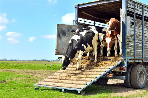 VCG41N463833347 VCG41N463833347